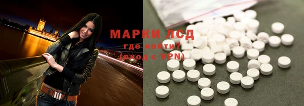 ПСИЛОЦИБИНОВЫЕ ГРИБЫ Абаза