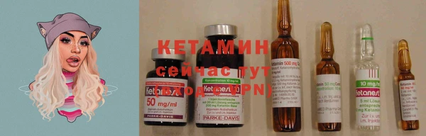 ПСИЛОЦИБИНОВЫЕ ГРИБЫ Абаза
