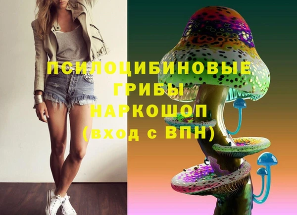 СК Абинск