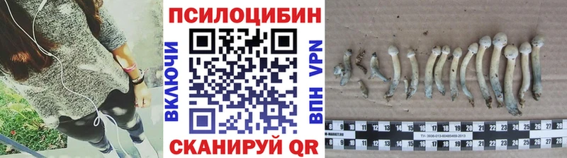 Псилоцибиновые грибы ЛСД  мега сайт  Клинцы 