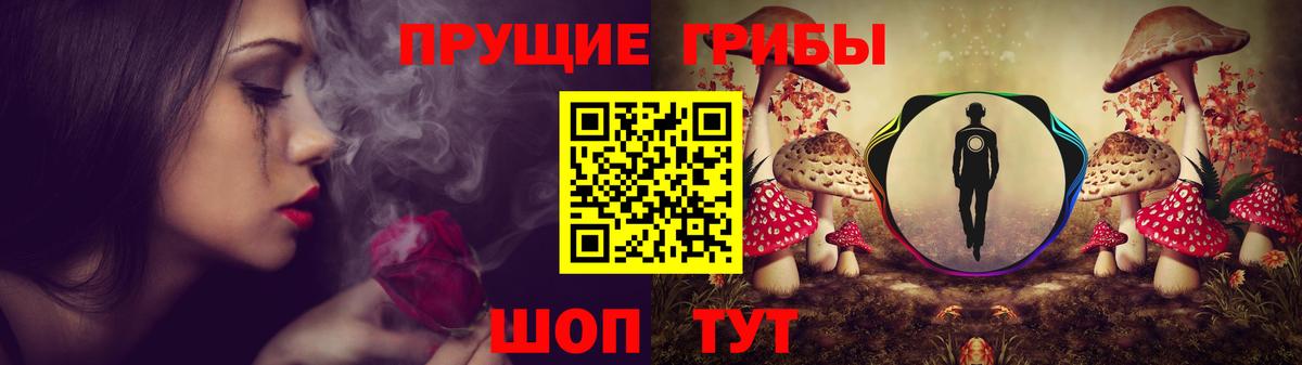 Клинцы  Псилоцибиновые грибы прущие грибы  Вход с VPN 