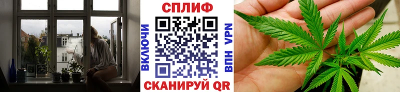 Бошки марихуана Amnesia Клинцы